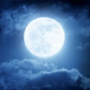 Meet your Posher, Anda